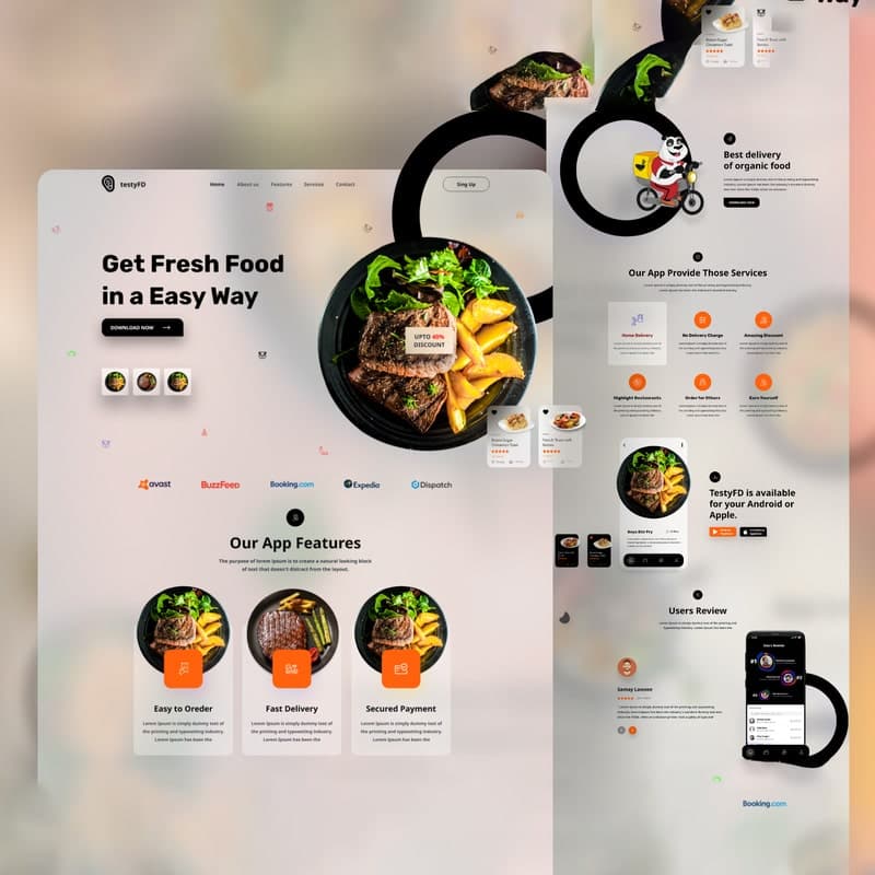 Website Design & Development